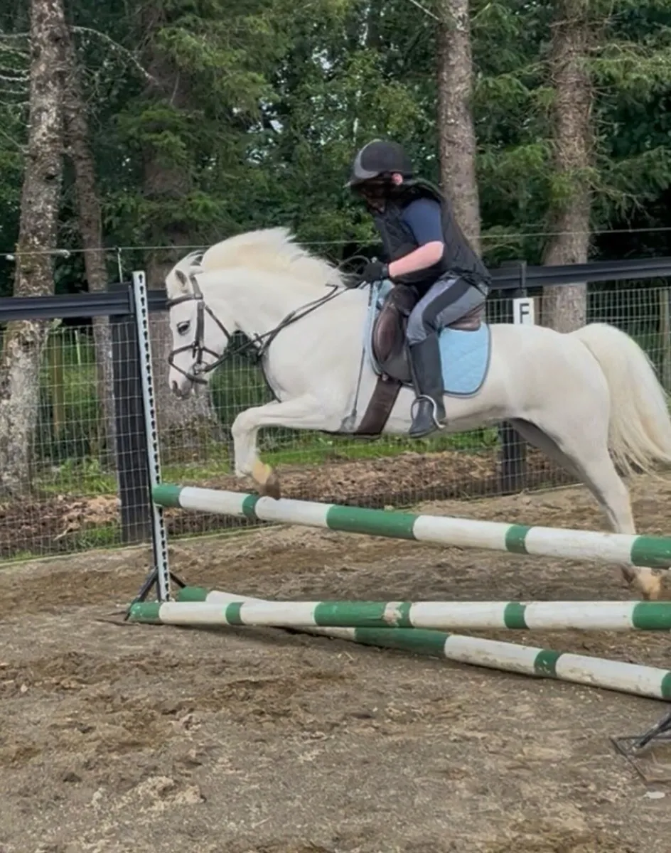 Lead rein / 1st pony - Image 4