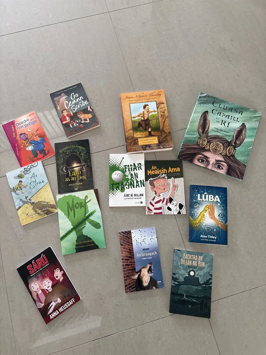 Selection of new Irish novels and books