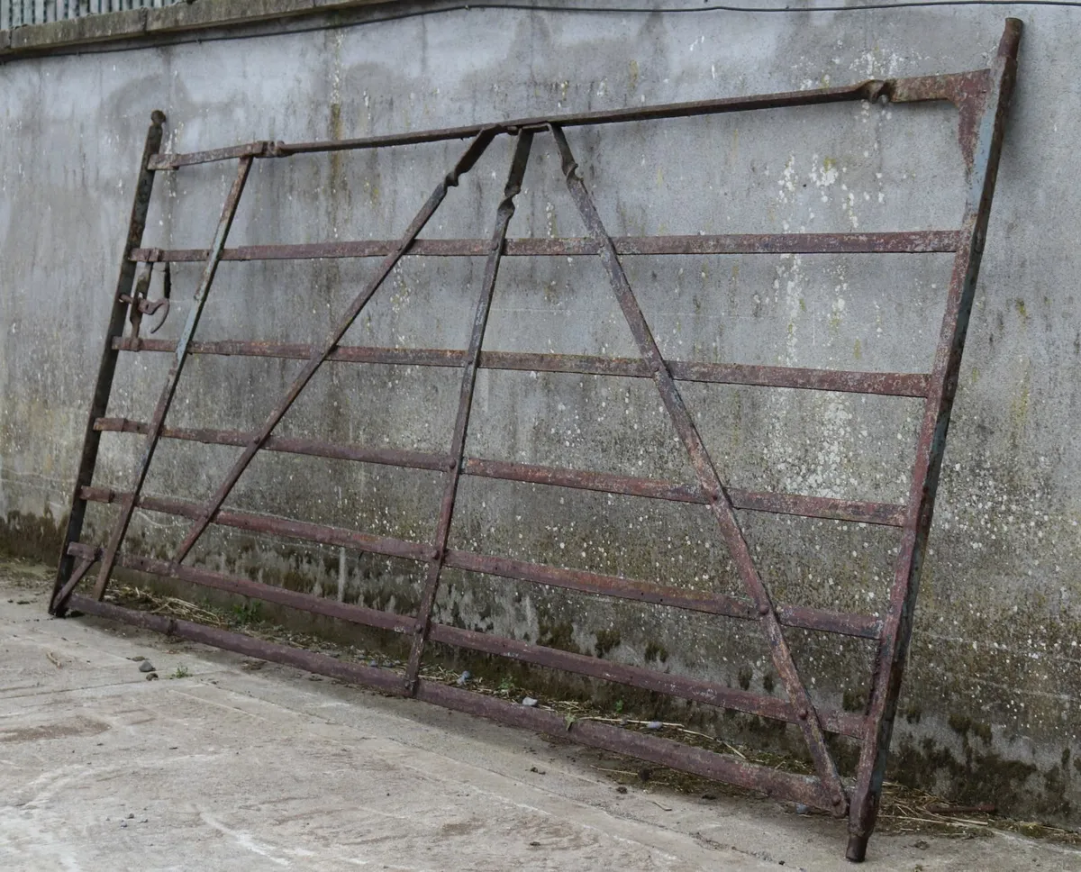 Wrought iron gate - Image 3
