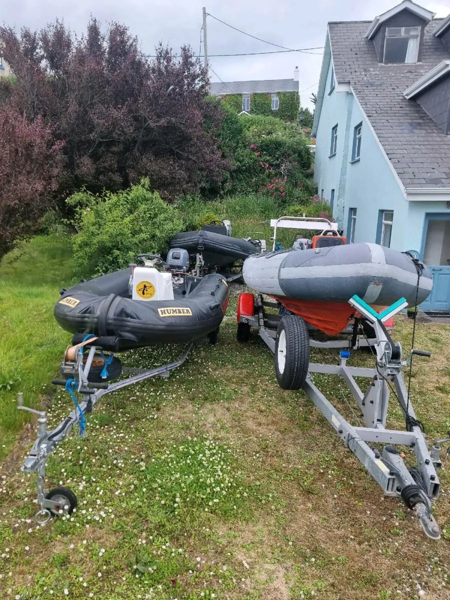 Selection of Ribs to clear yard for sale. - Image 1