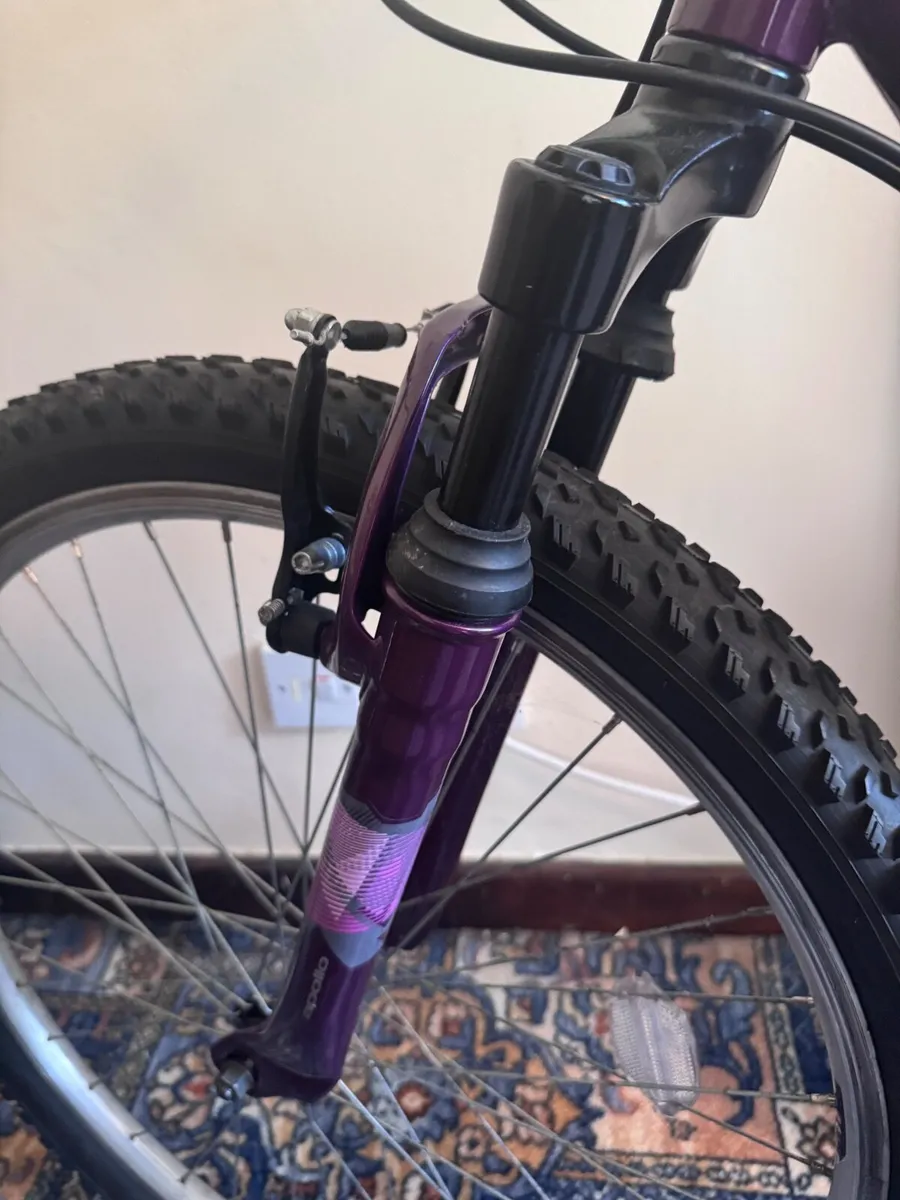 Appolo jewl womans bike - Image 2