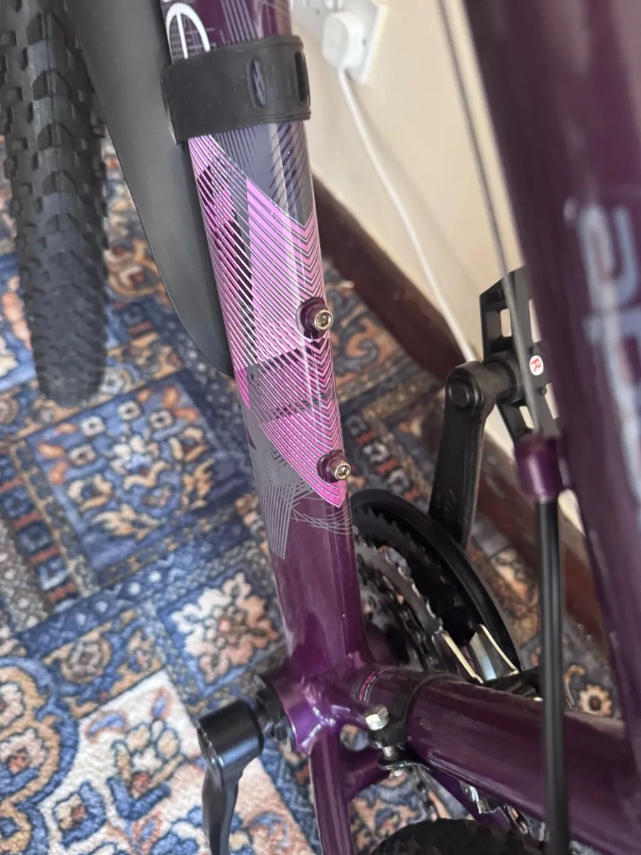 Appolo jewl womans bike - Image 4