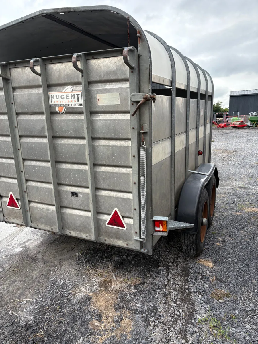 Nugent cattle trailer - Image 2