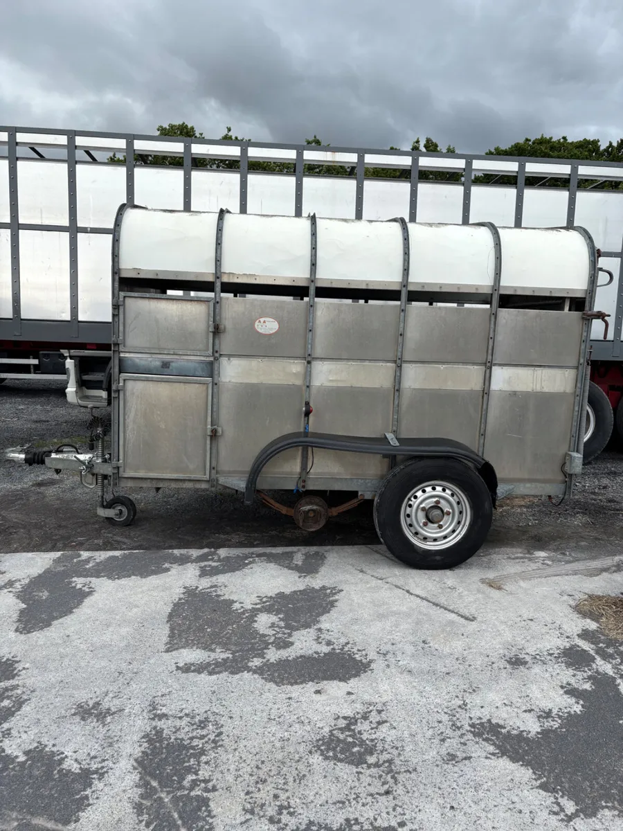 Nugent cattle trailer - Image 3