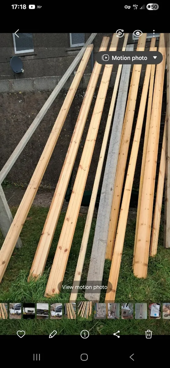Timber - Image 1