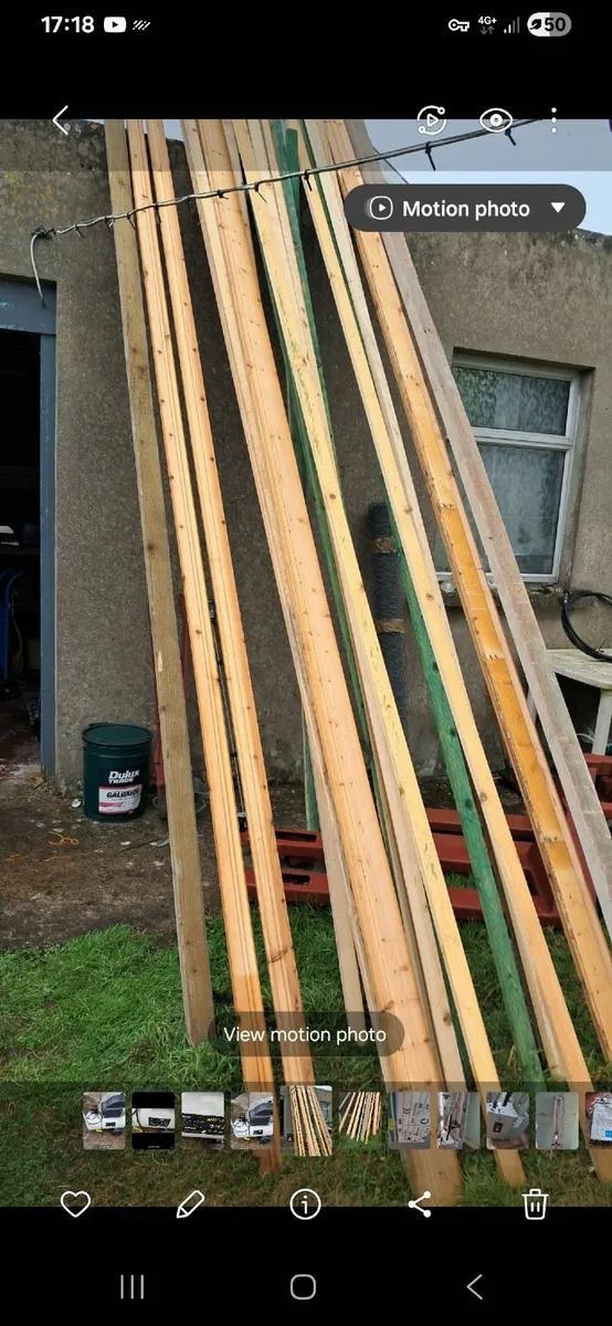 Timber - Image 2