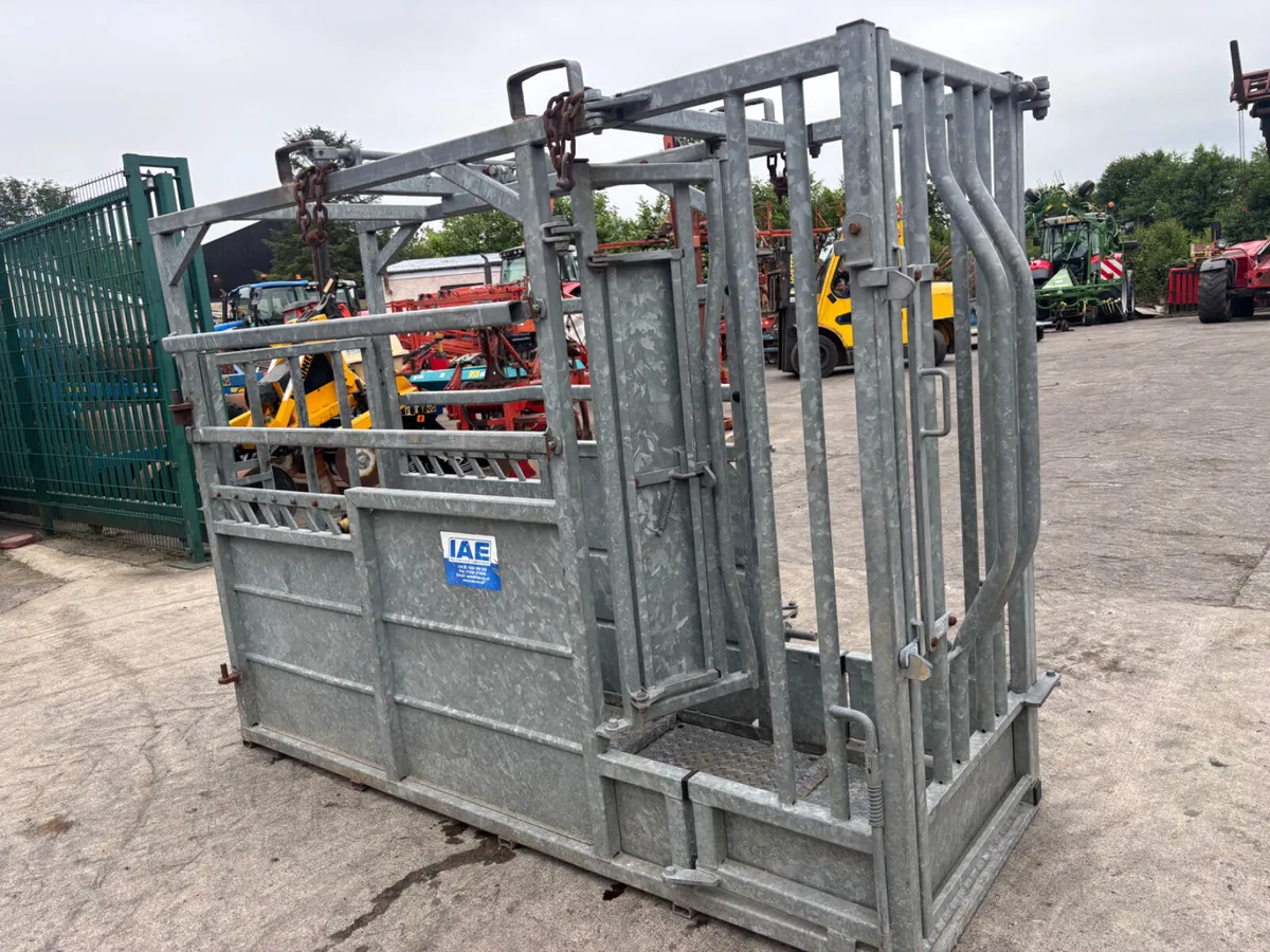 IAE Galvanised Mobile Cattle crush - Image 2