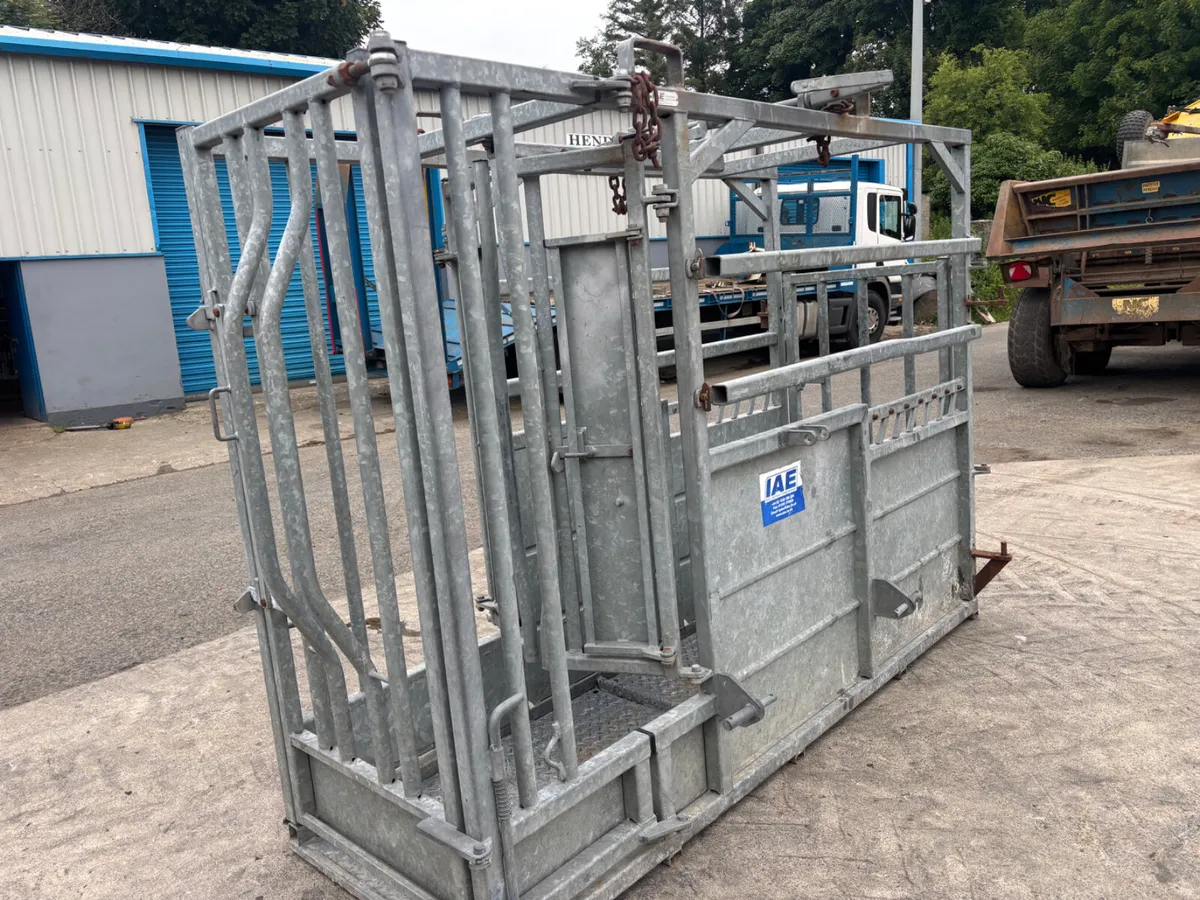 IAE Galvanised Mobile Cattle crush - Image 3