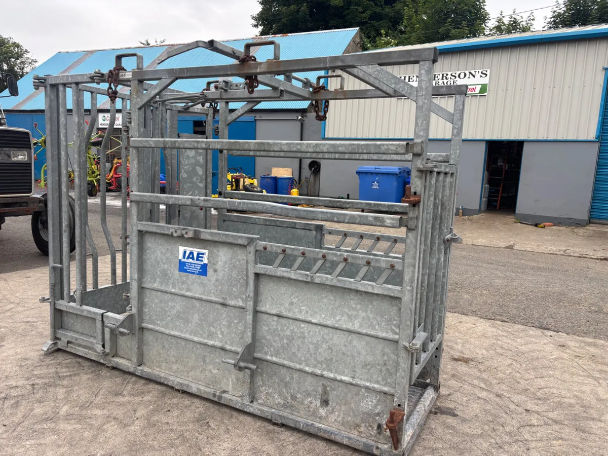 IAE Galvanised Mobile Cattle crush - Image 1
