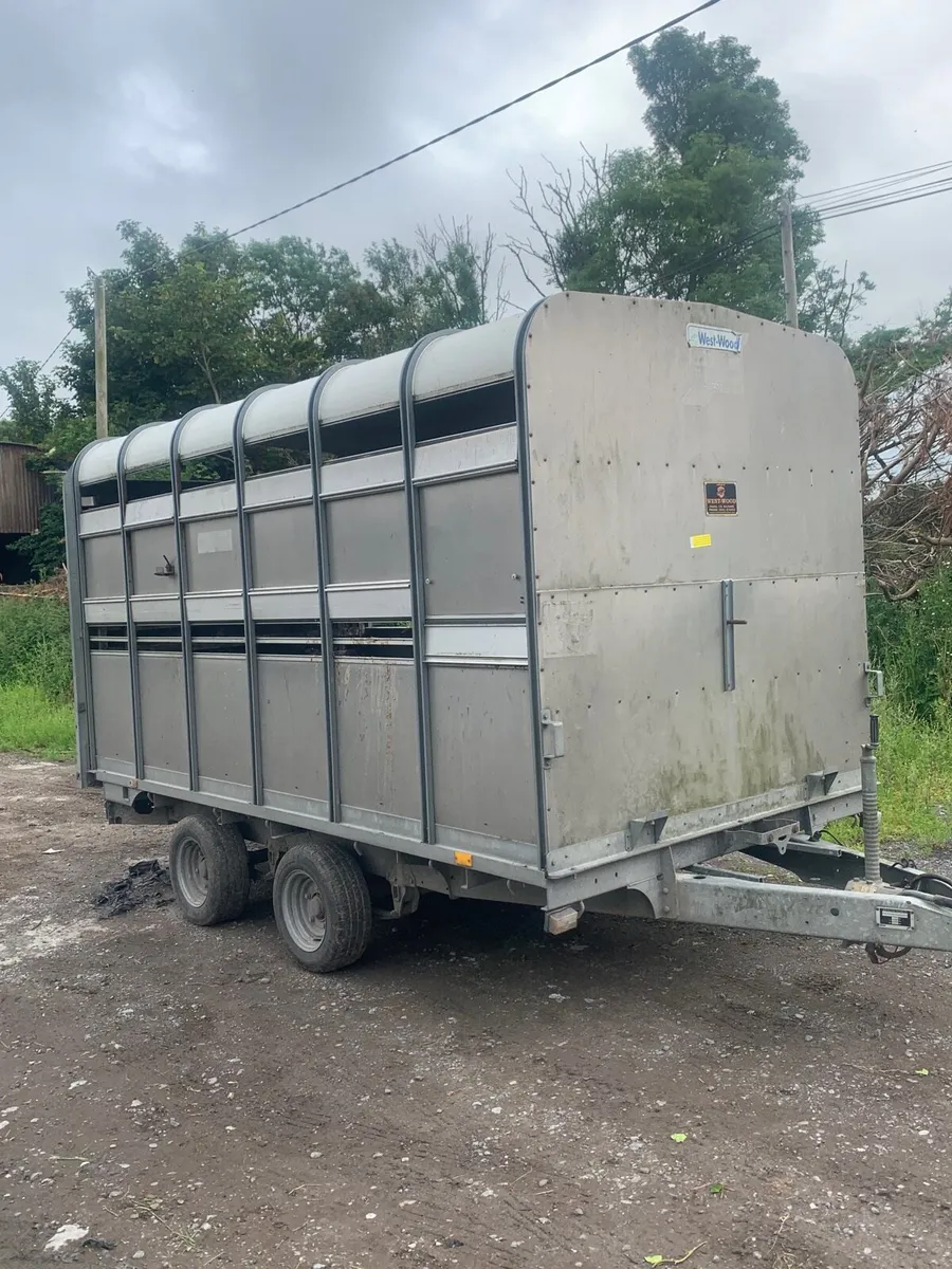 12 x 6 Ifor Williams Cattle/Sheep Trailer for sale - Image 1