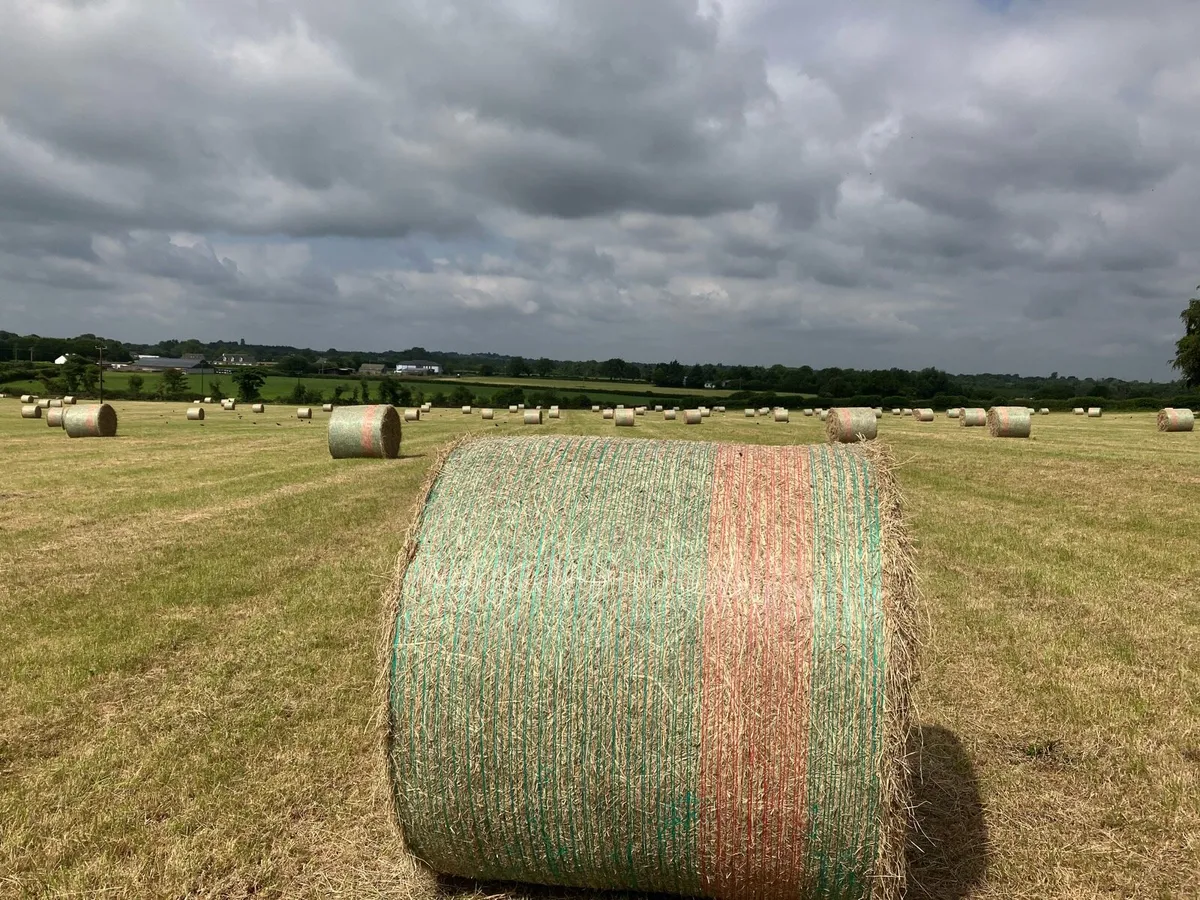 Hay bales for sale - Image 2