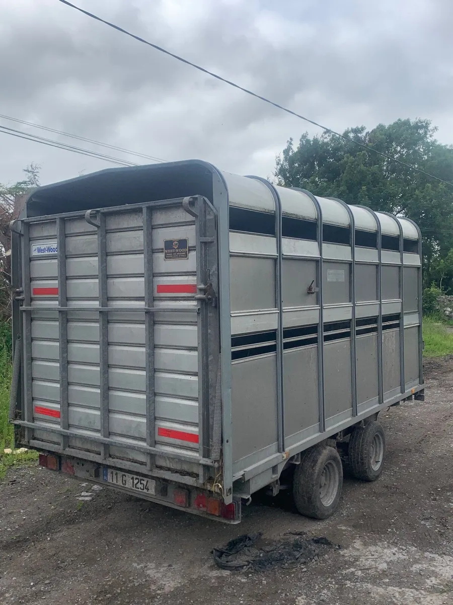 12 x 6 Ifor Williams Cattle/Sheep Trailer for sale - Image 3