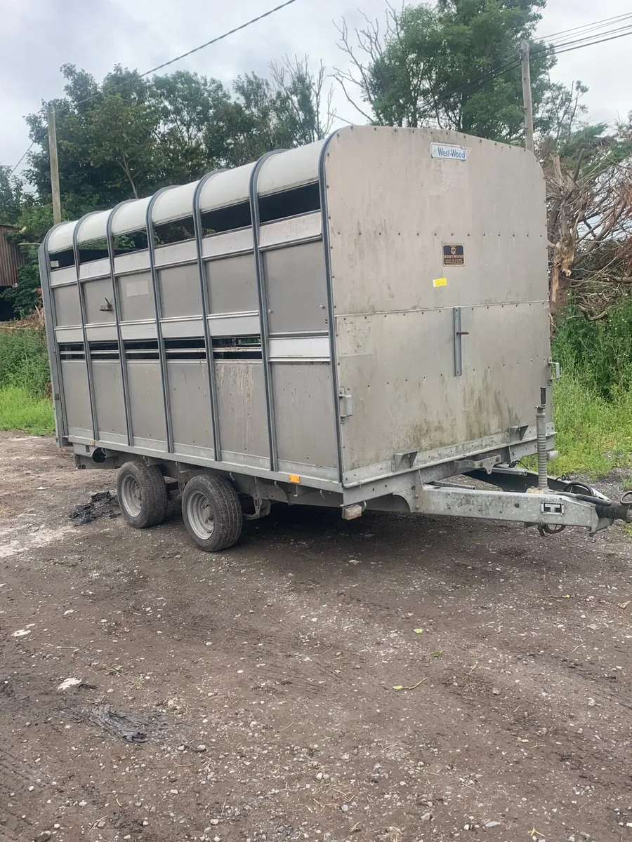 12 x 6 Ifor Williams Cattle/Sheep Trailer for sale - Image 4