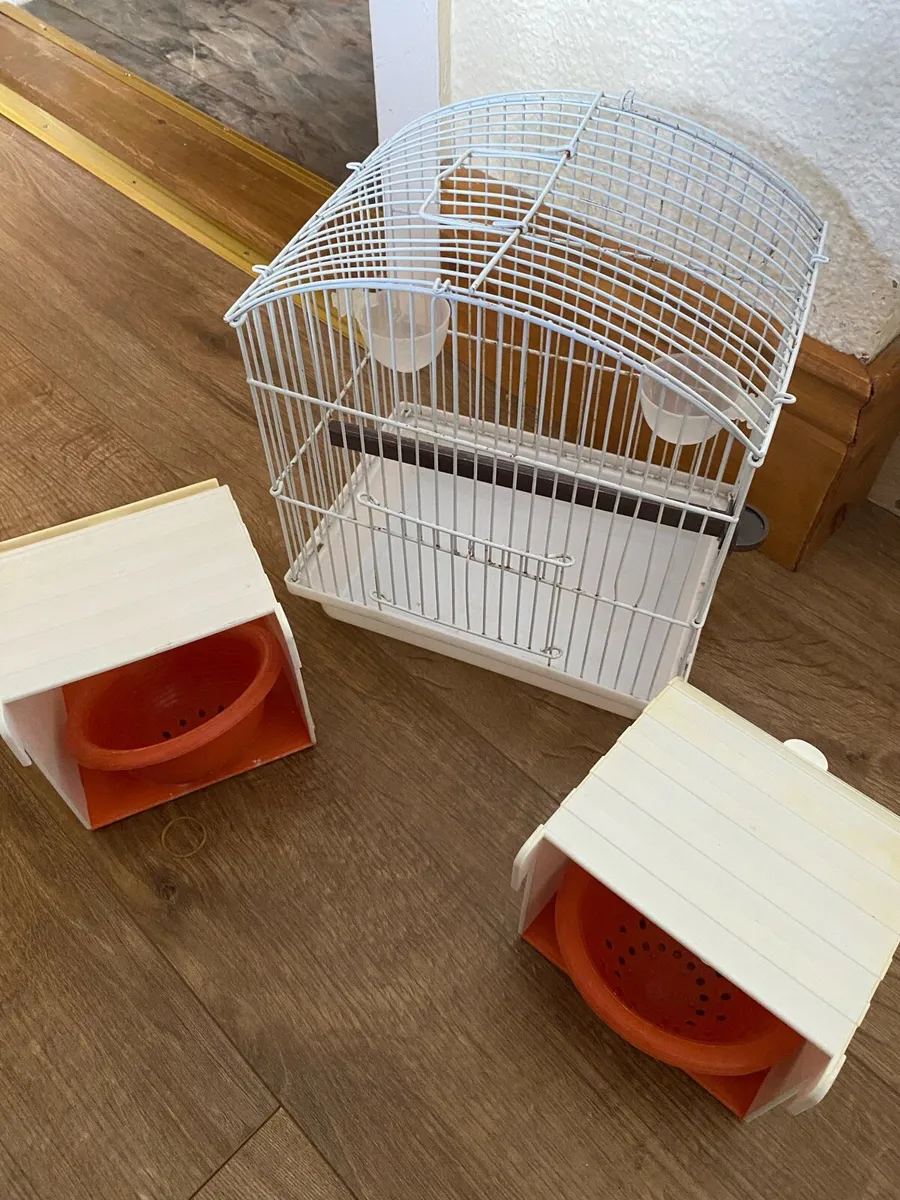 Canary bundle
