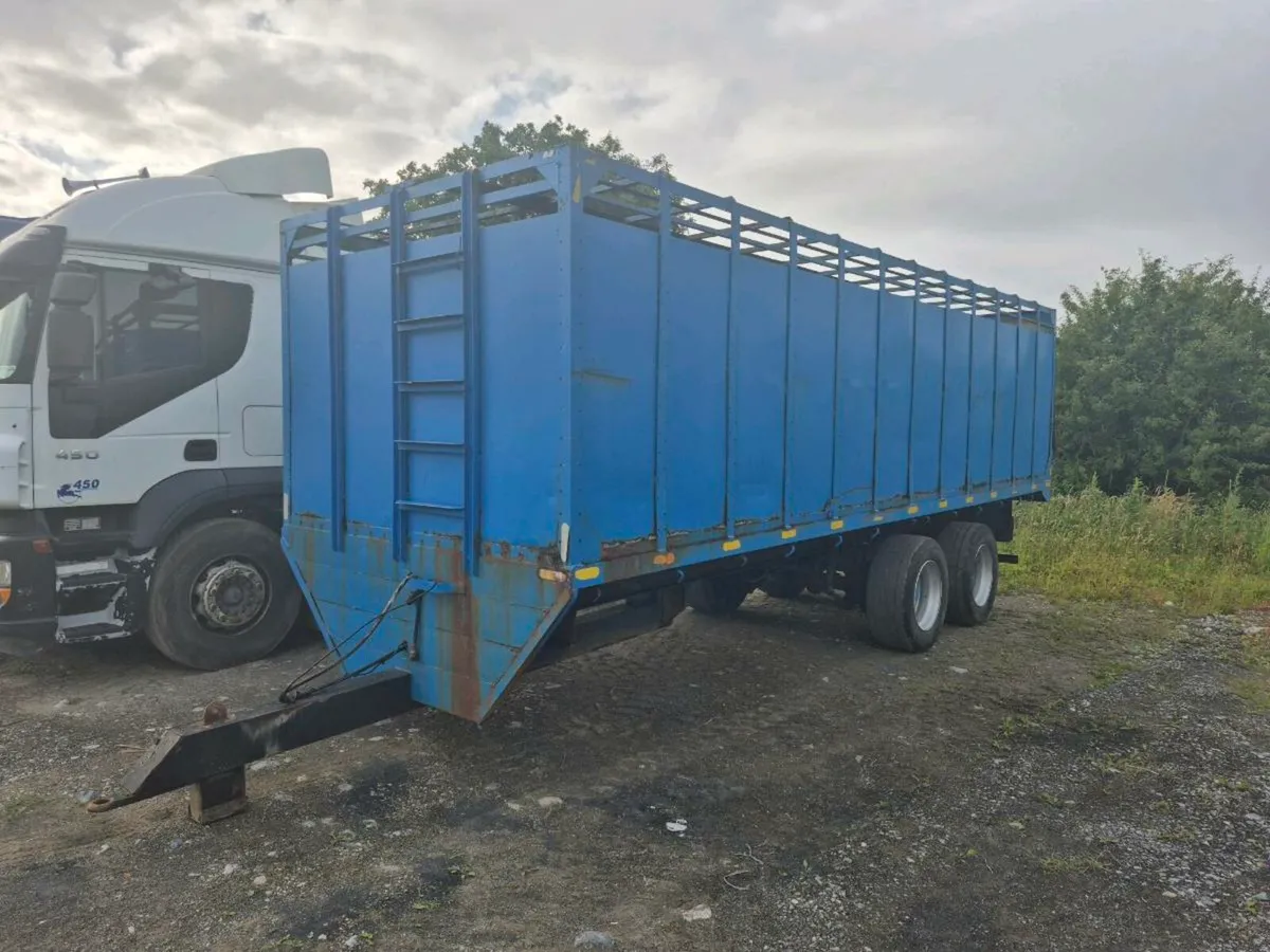 ‼️‼️⏰️AUCTION 27th june ⏰️‼️ - Image 4