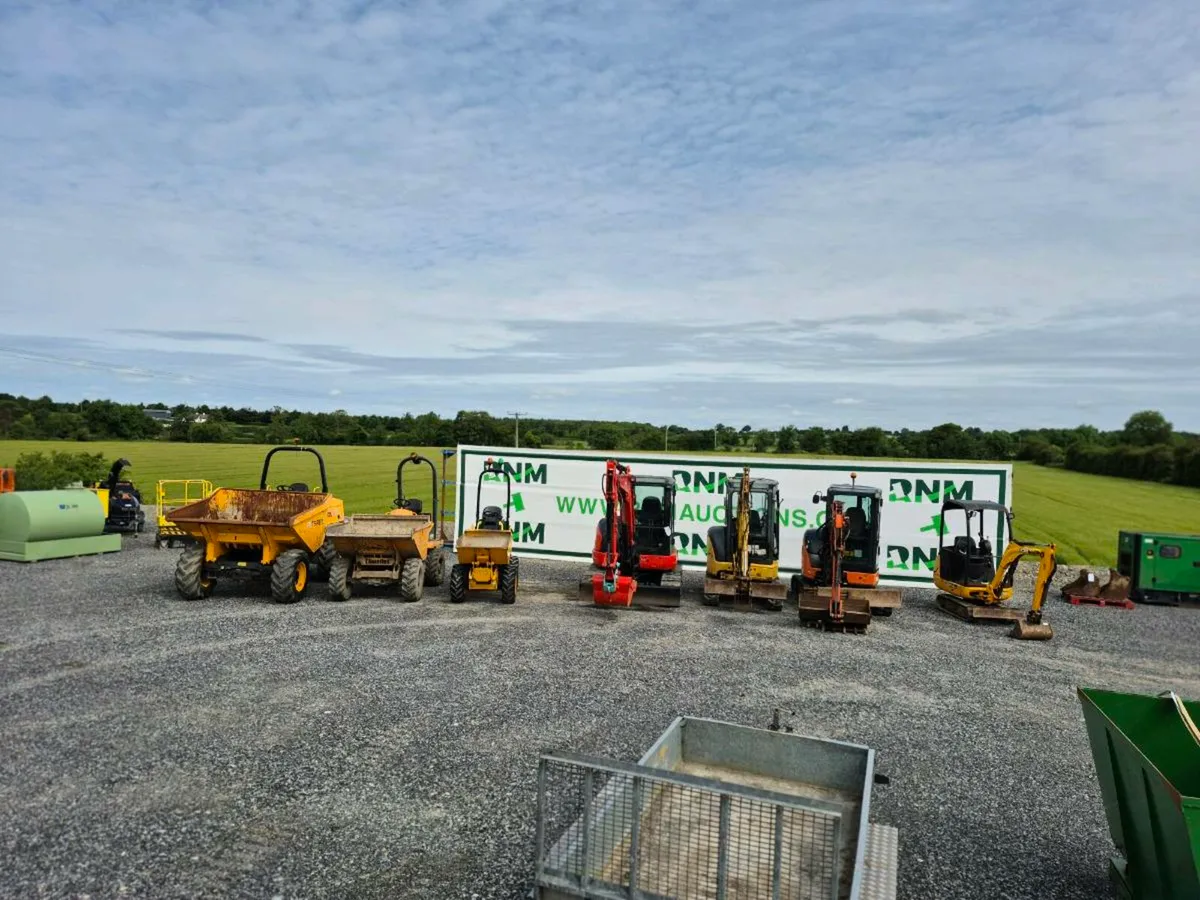 AUCTION FRIDAY 27TH JUNE - Image 4