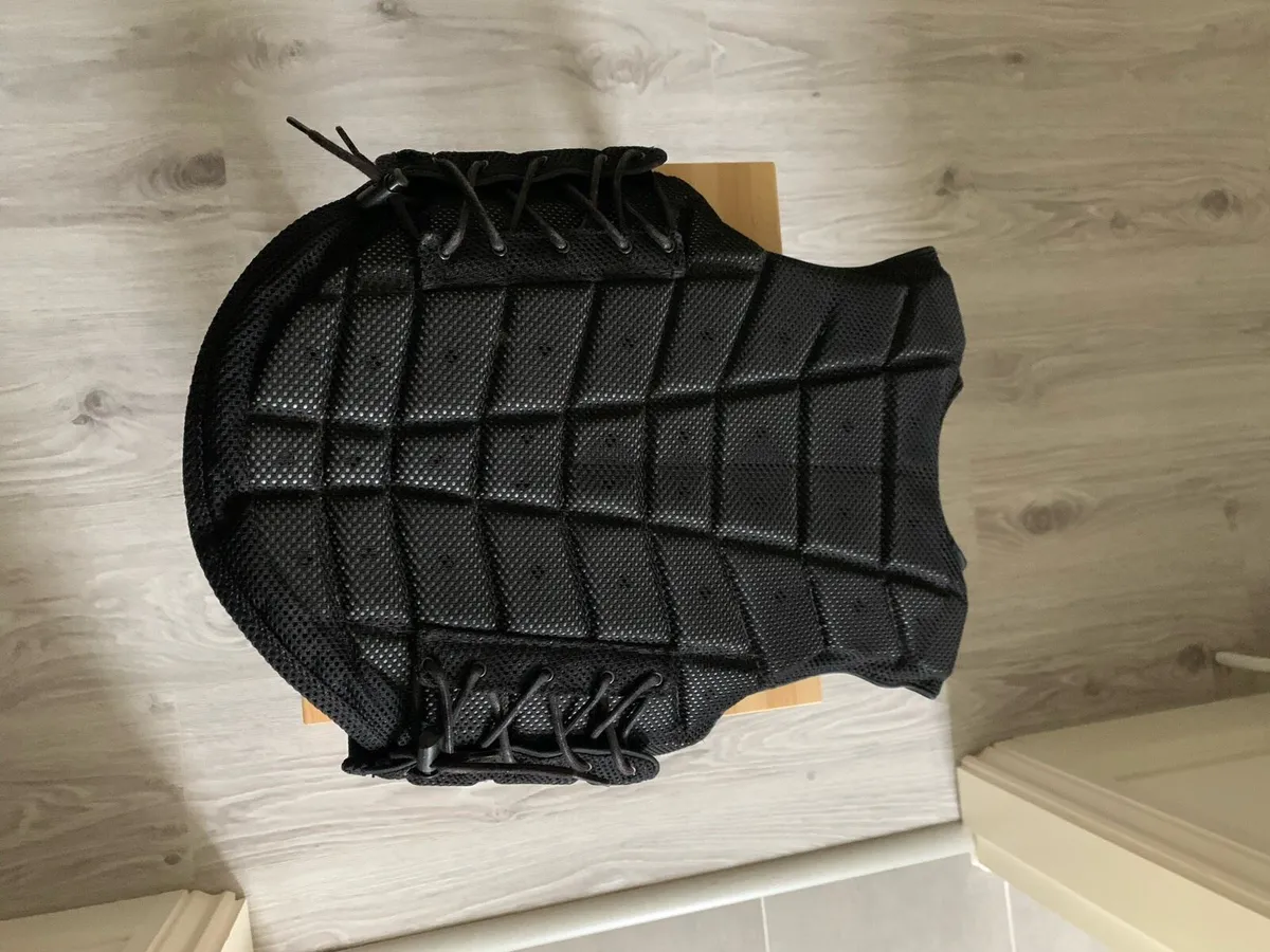 Horse riding helmet and back protector - Image 4