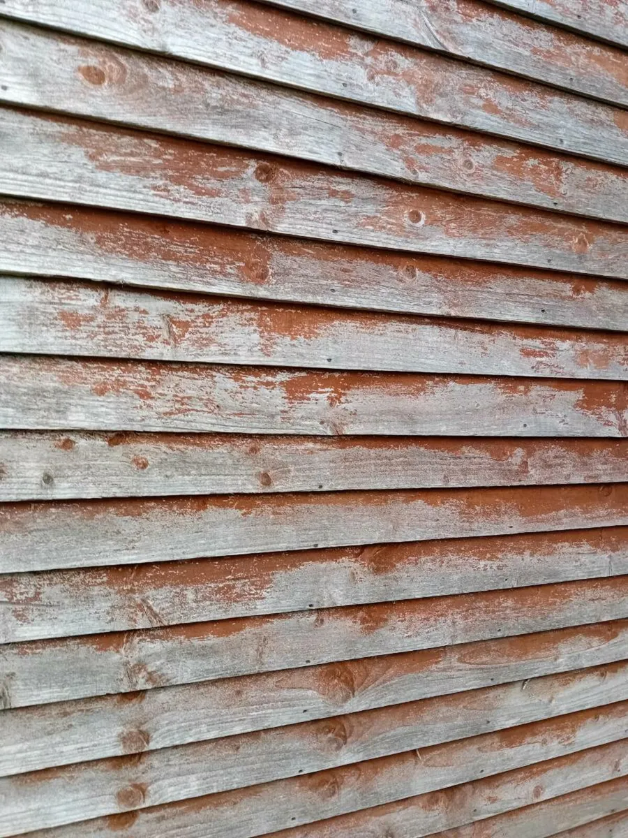 GARDEN SHED - Image 3