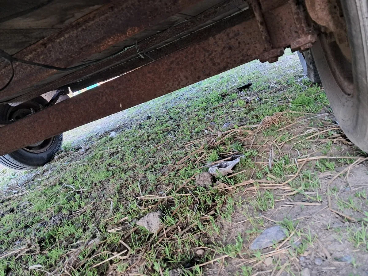 Car trailer - Image 2