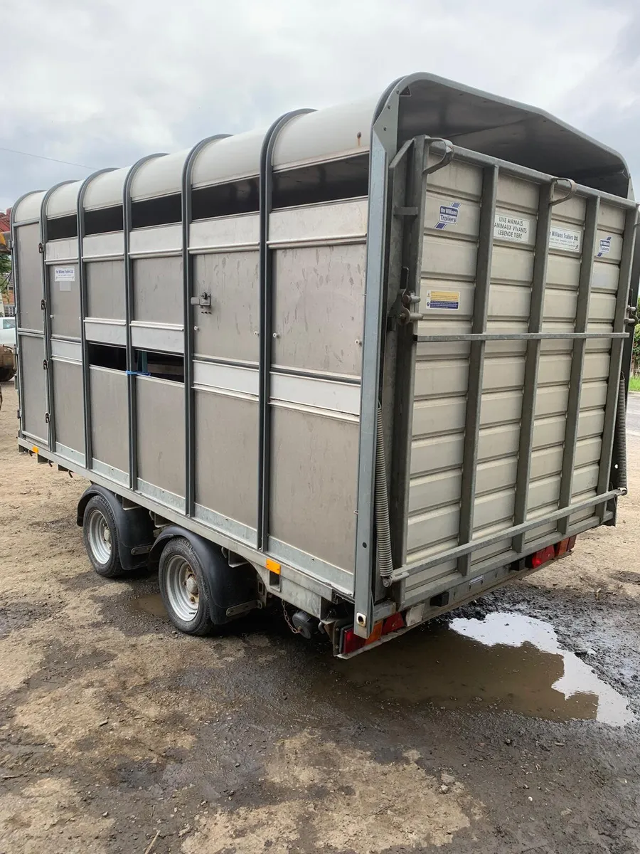 Ifor Williams 12ft cattle trailer demountable - Image 2