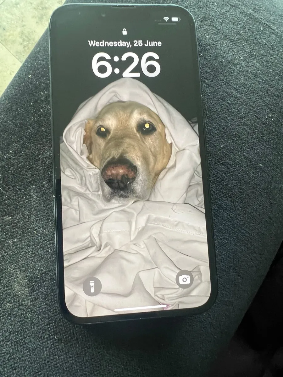 iPhone 13 | Locked to Three - Image 3