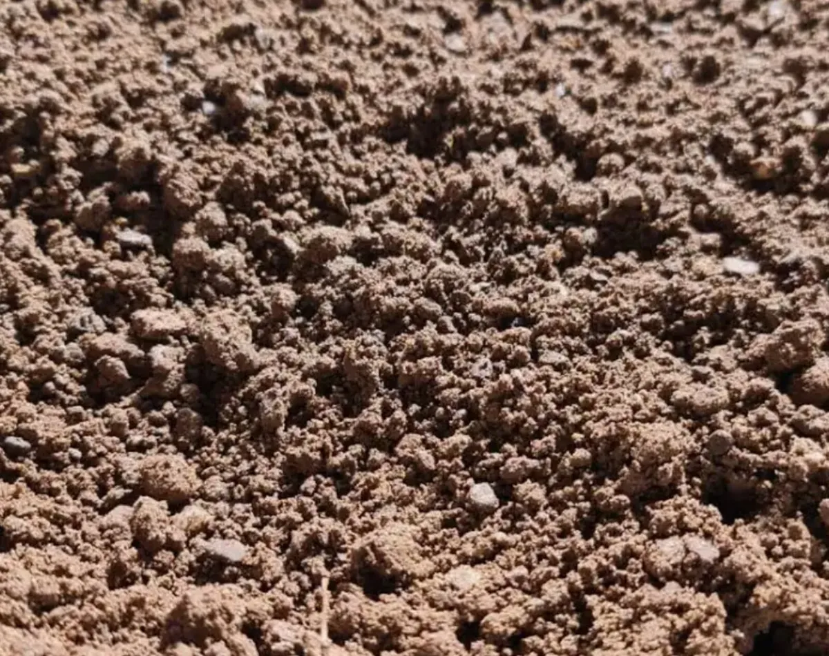 Screened Soil /Enriched  Soil - Image 1
