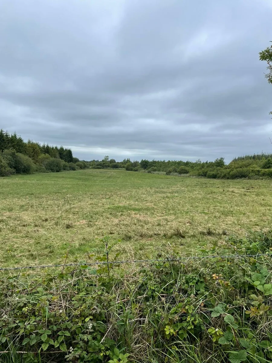 Field for sale