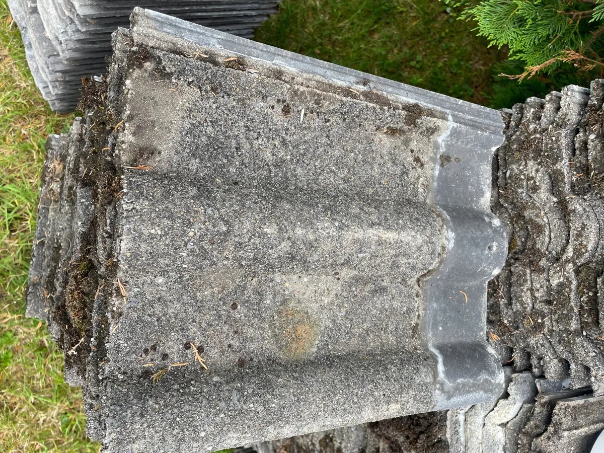Tiles (Redland 50) and Ridgecaps - Image 3