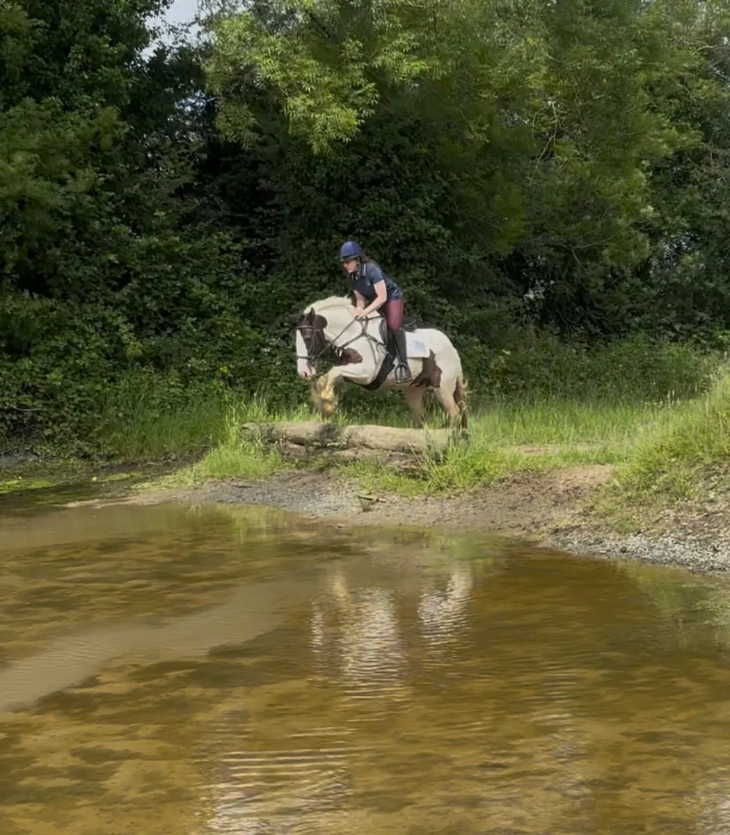 At Goresbridge next week - Image 2