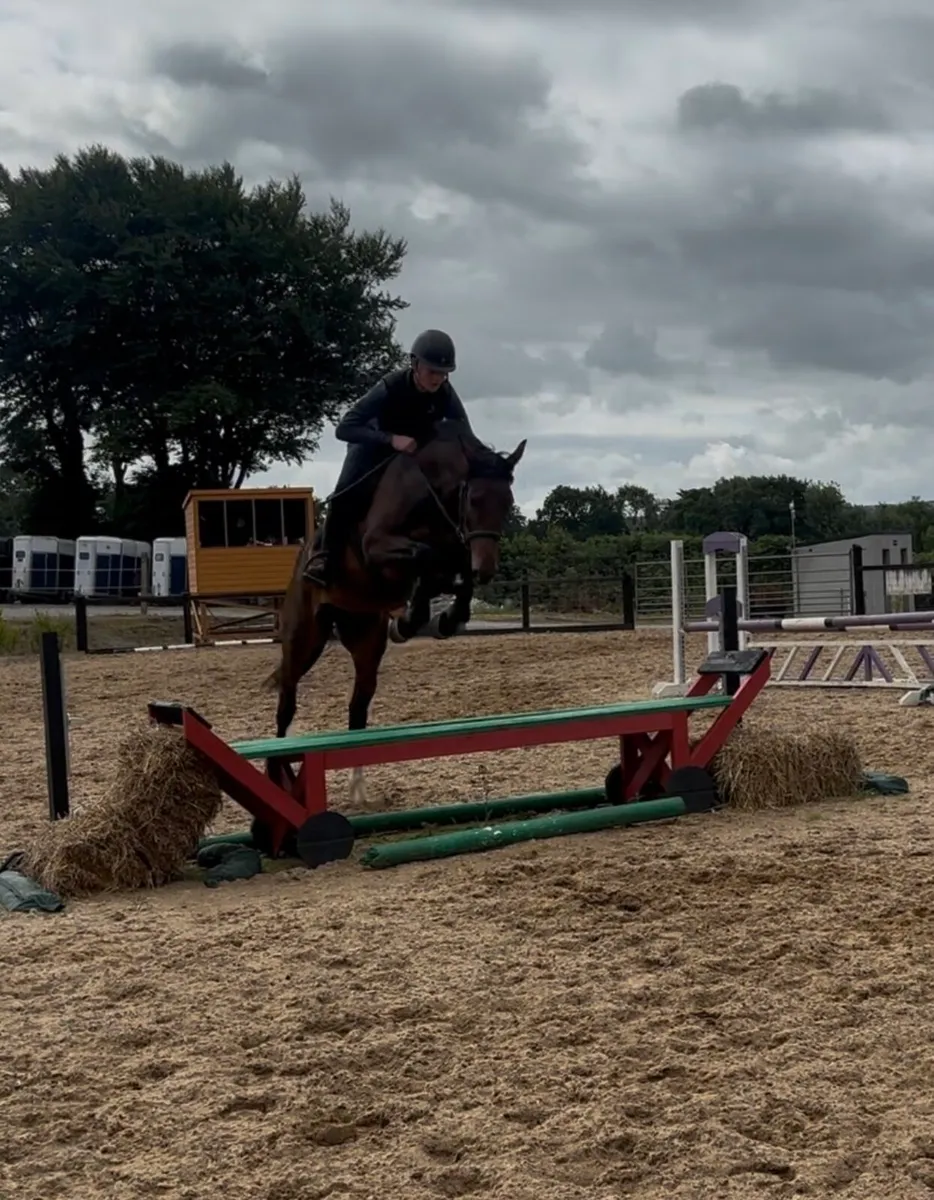 Sligo Candy Boy X Robin De La Maison - Image 1