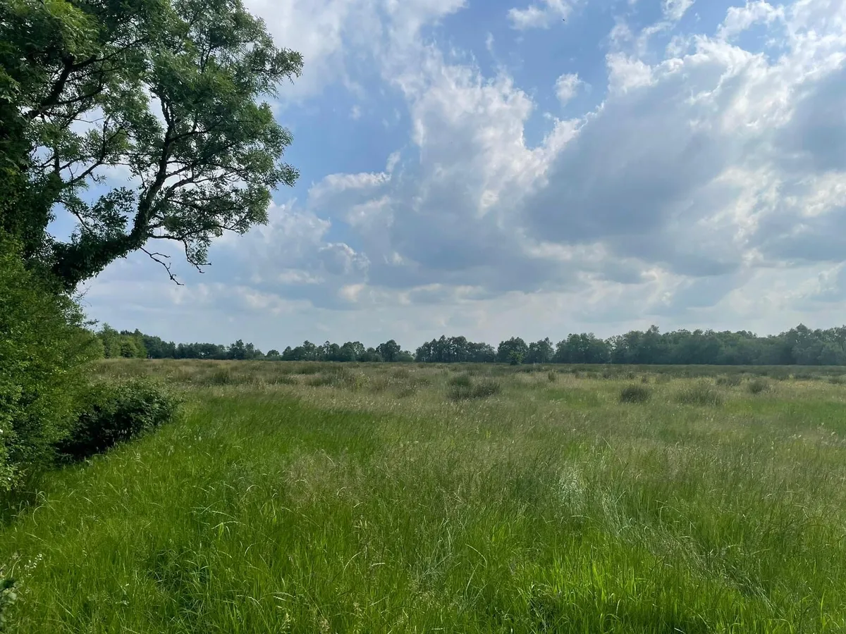 Land for rent - Image 1