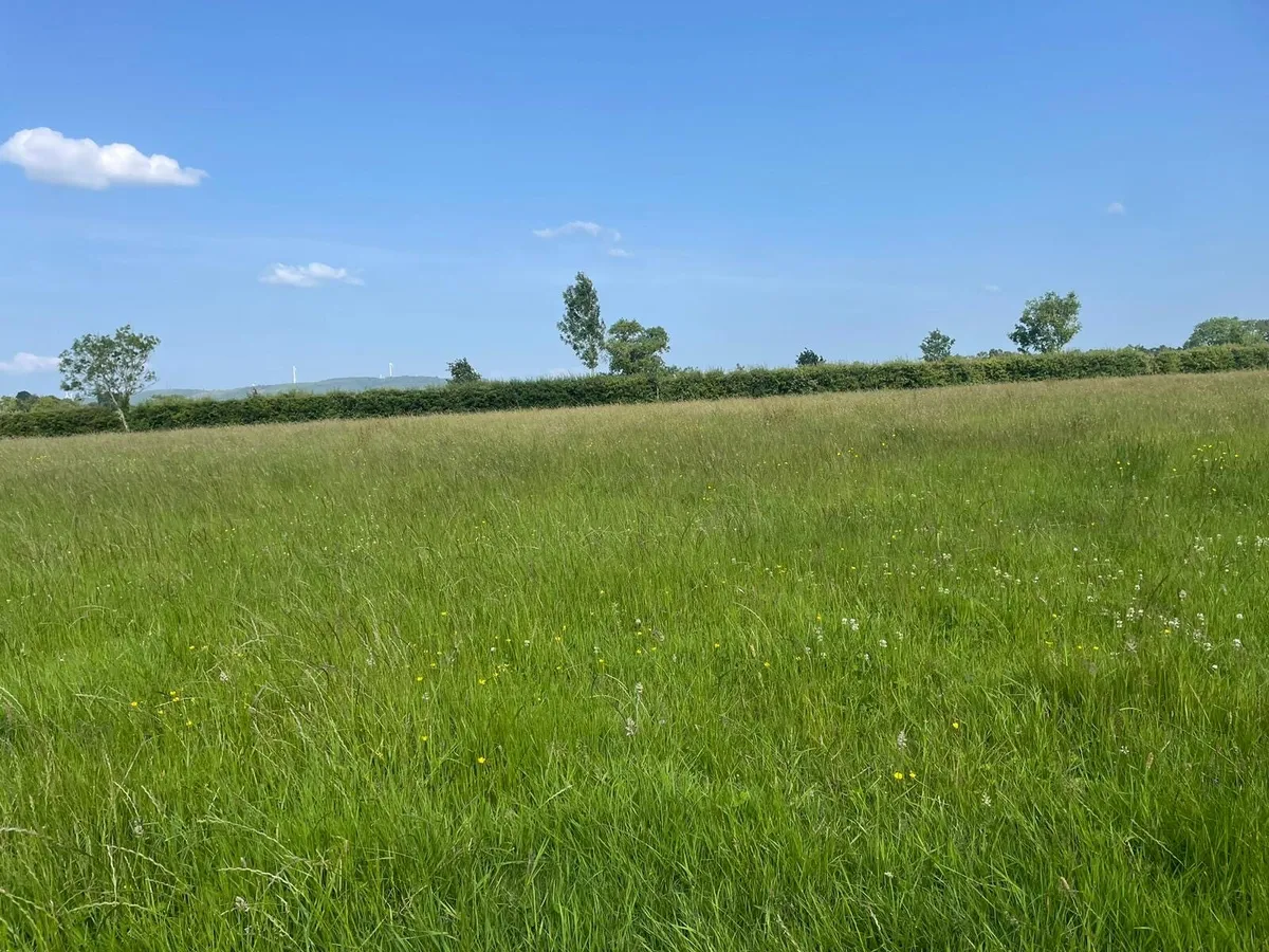 Land for rent - Image 2