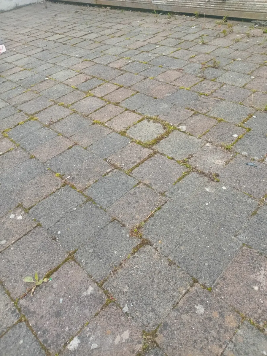Paving Cobble stone
