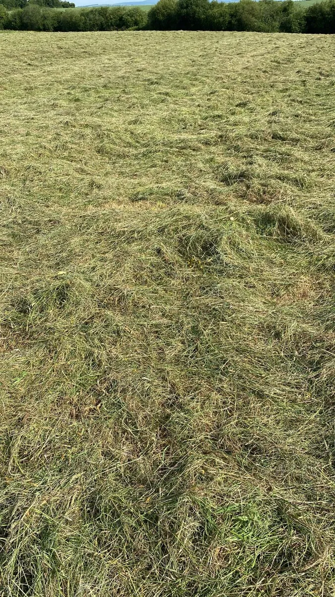 18 Haylage Bales - Gorey, Co. Wexford - Image 2