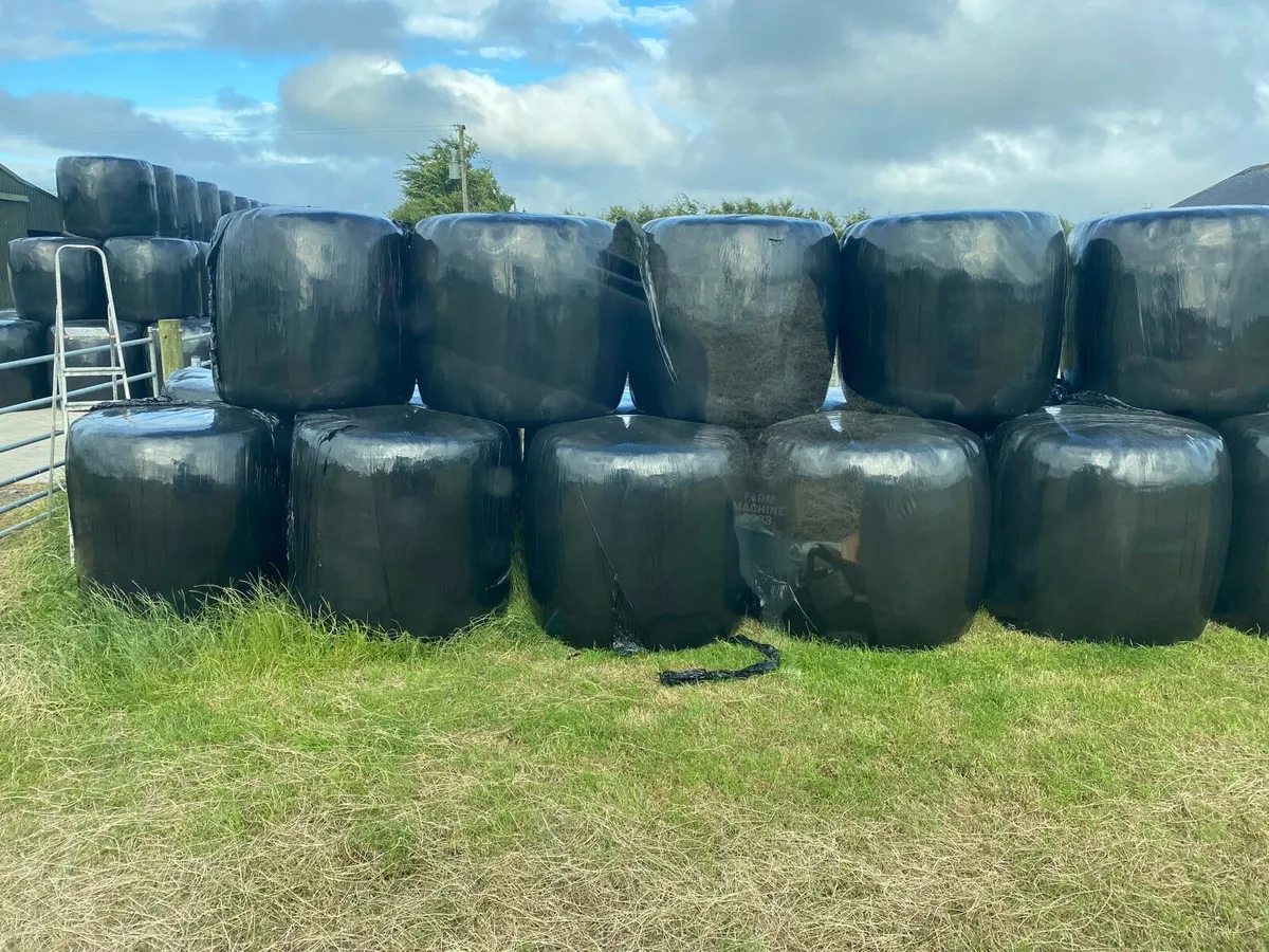 18 Haylage Bales - Gorey, Co. Wexford - Image 1