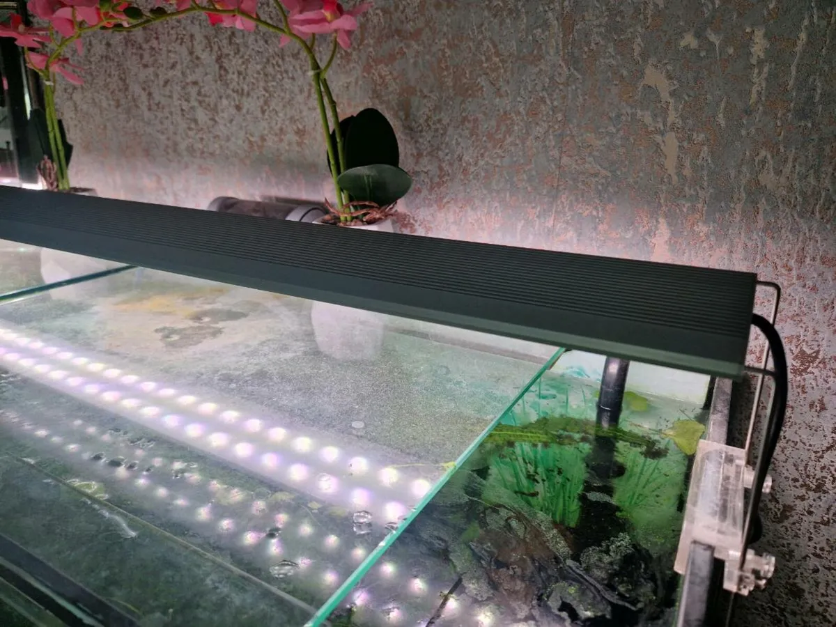 Fish Tank and accessories - Image 2