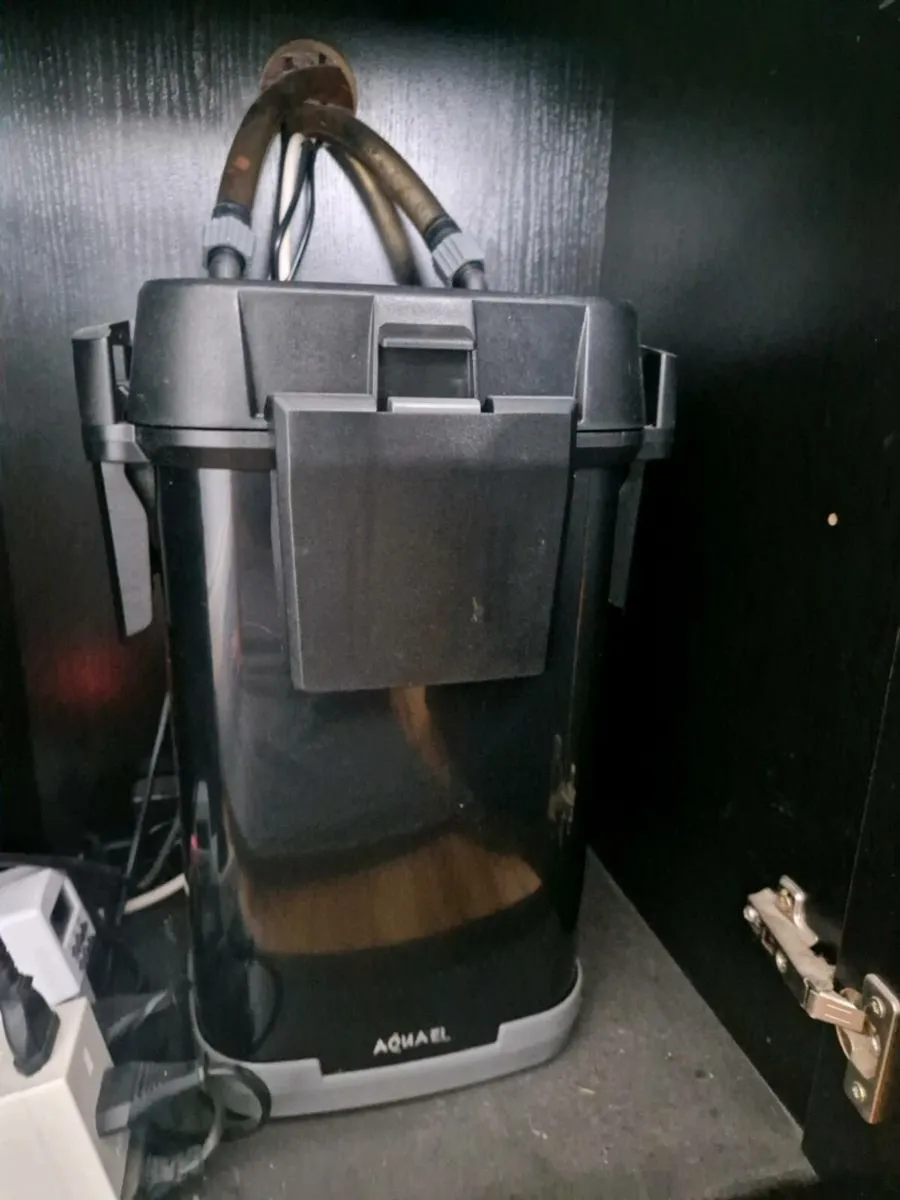 Fish Tank and accessories - Image 4