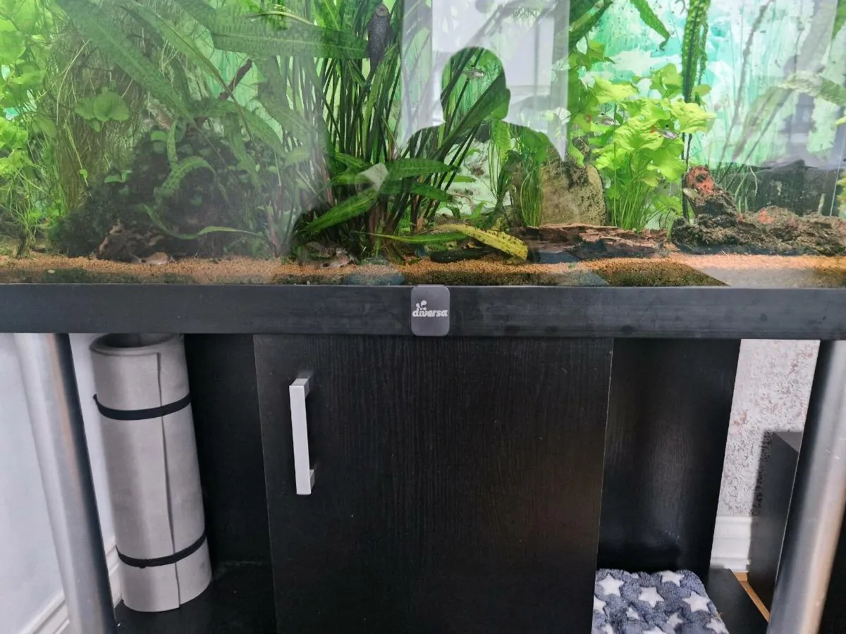 Fish Tank and accessories - Image 1