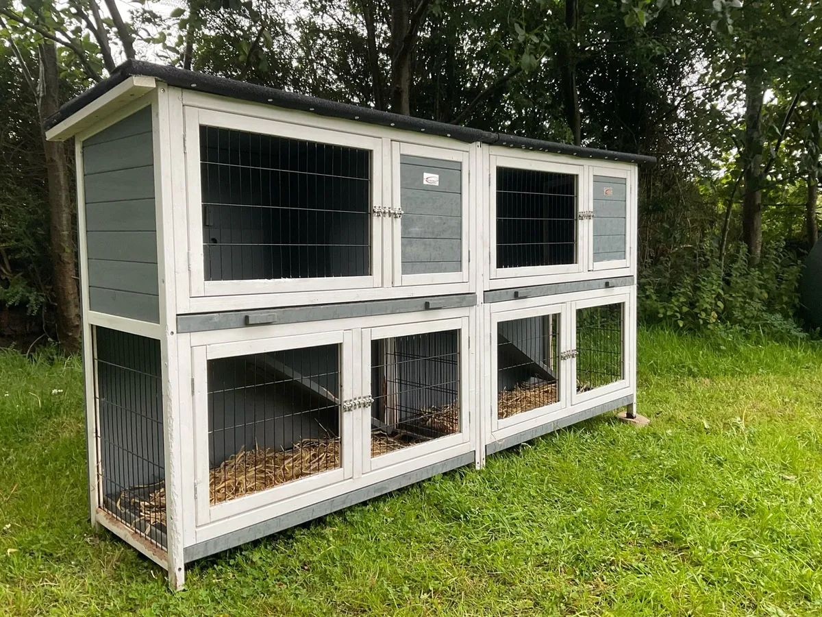 SPACIOUS  Bunny & guinea pig Hutch - Image 1