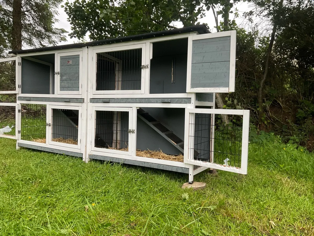 SPACIOUS  Bunny & guinea pig Hutch - Image 2