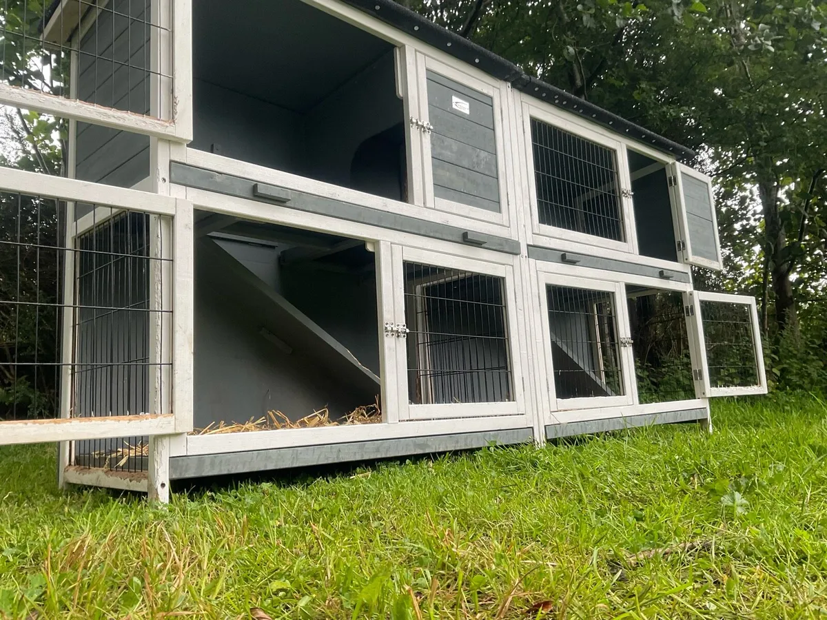 SPACIOUS  Bunny & guinea pig Hutch - Image 3