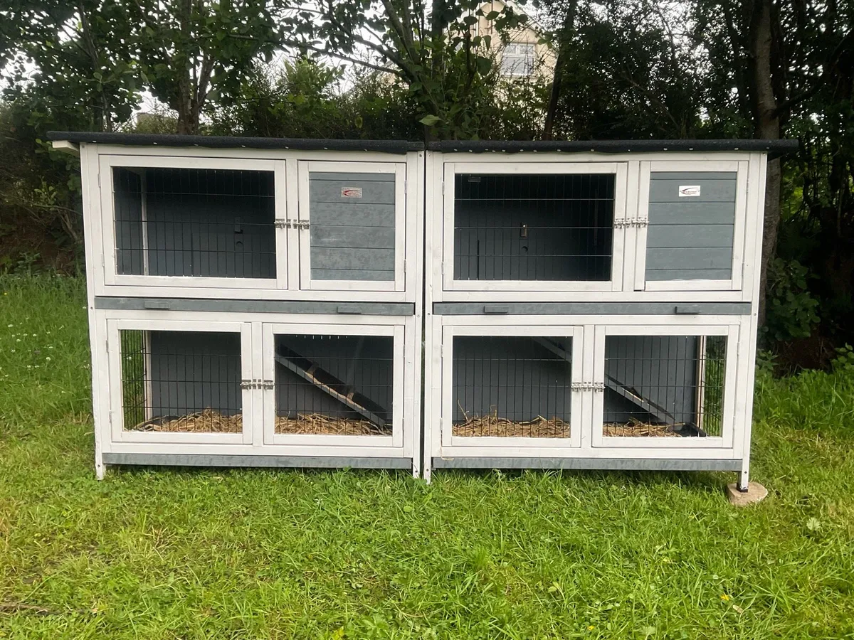 SPACIOUS  Bunny & guinea pig Hutch - Image 4