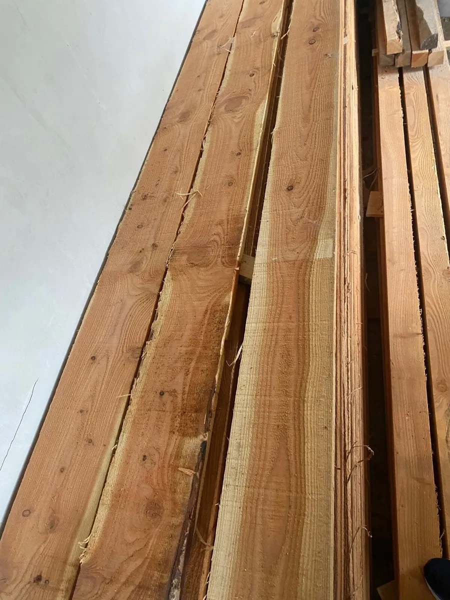 Larch timber - Image 1