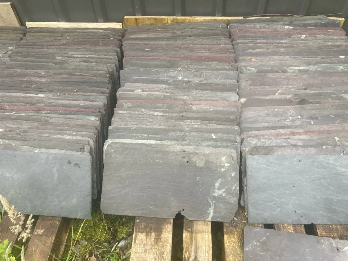 Bangor blue slates
