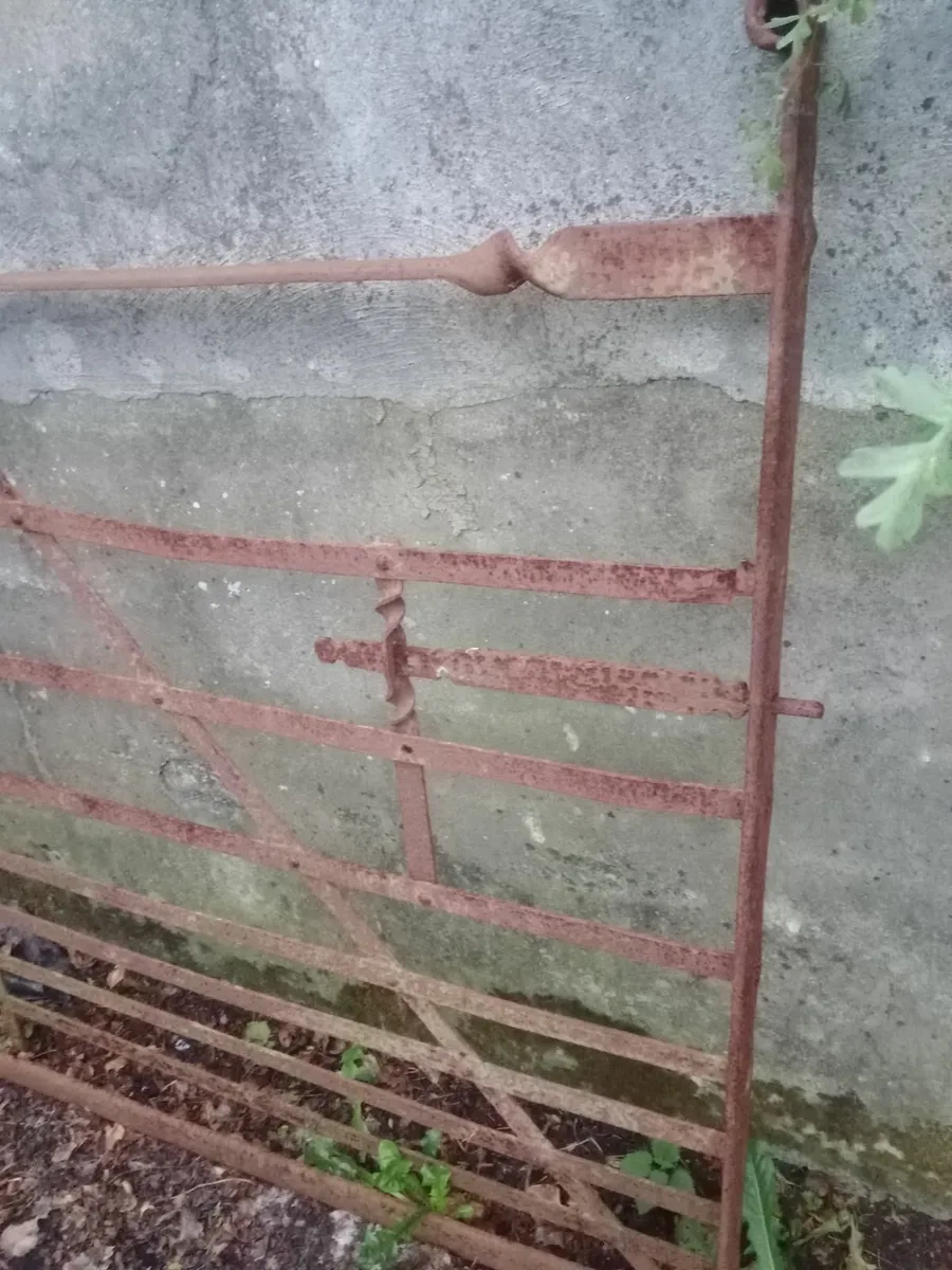 Old iron gate - Image 2