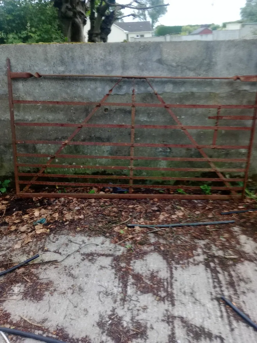 Old iron gate - Image 3