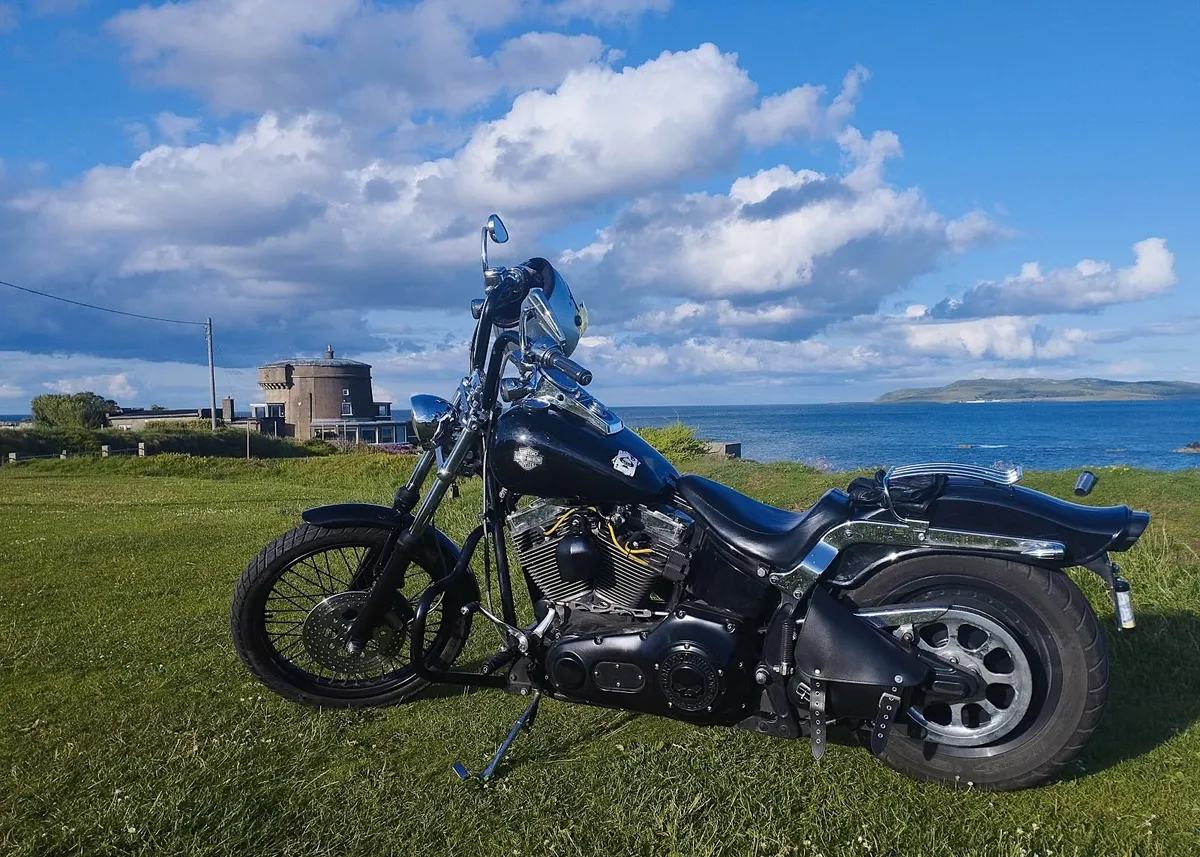 2001 HARLEY DAVIDSON SOFTAIL - Image 2