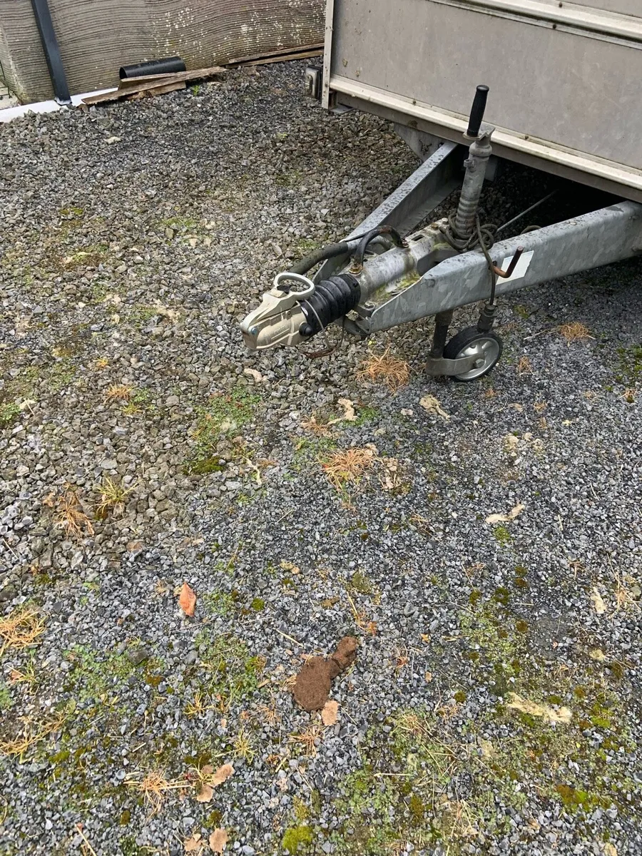 Cattle sheep trailer - Image 2