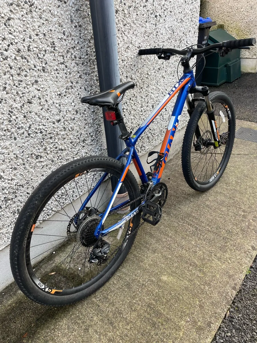 Bike - Image 2