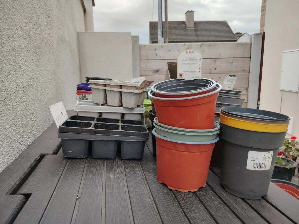 Free Plant pots - Image 1